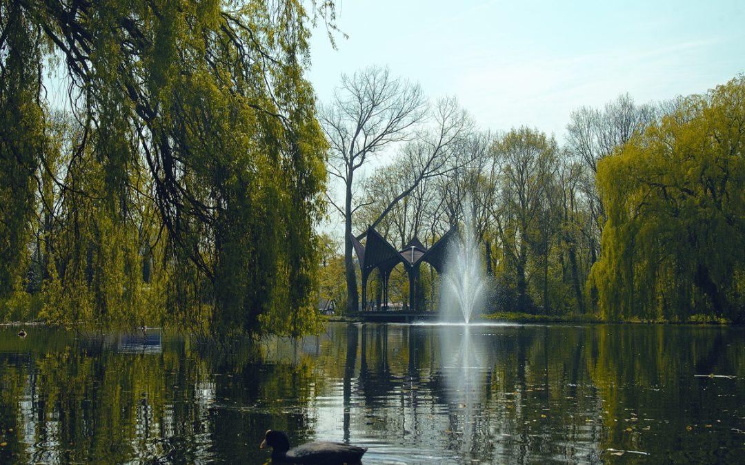 Donderdag 1 juni: Eppo gaat te water in de Grote Vijver